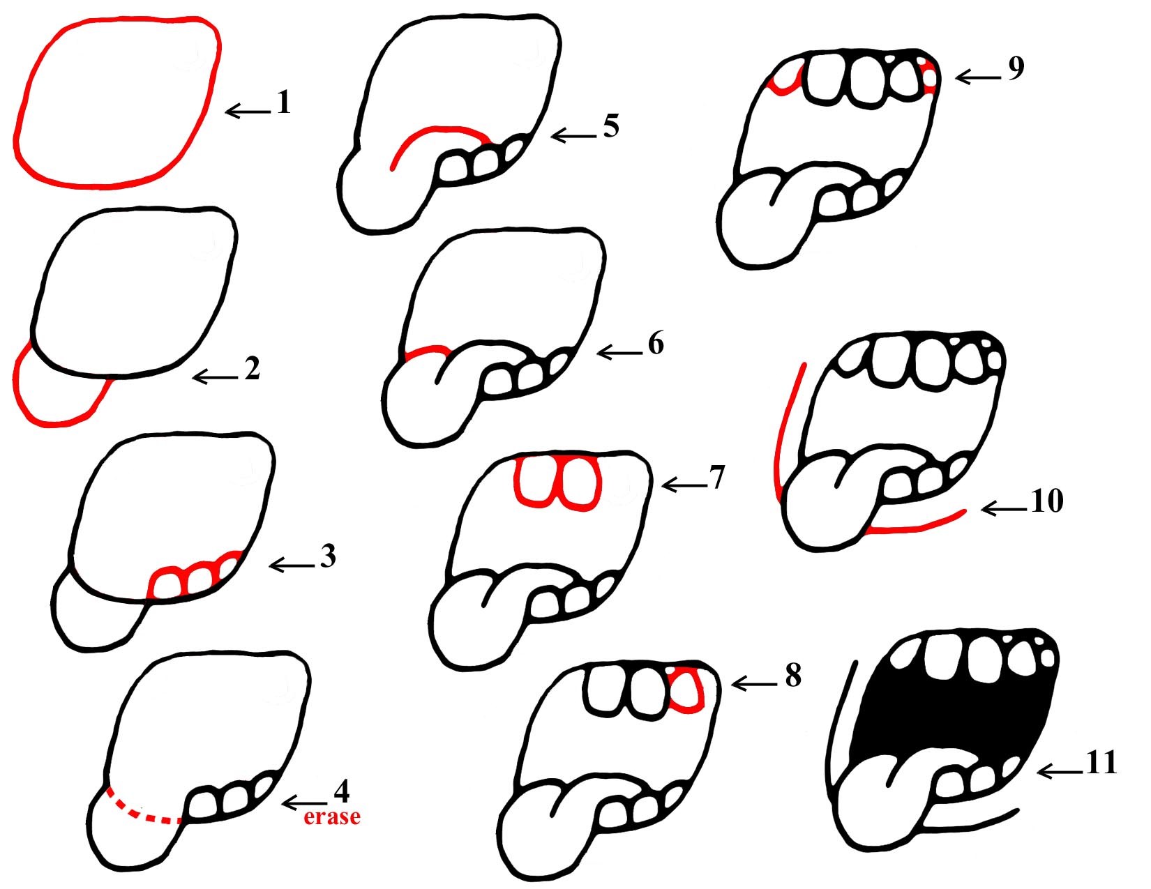 Cartoon Mouth Step by Step 10